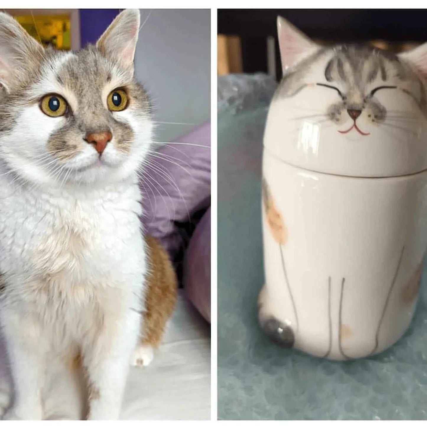 Custom Cat Portrait Urn - Handcrafted Ceramic Pet Memorial Jar