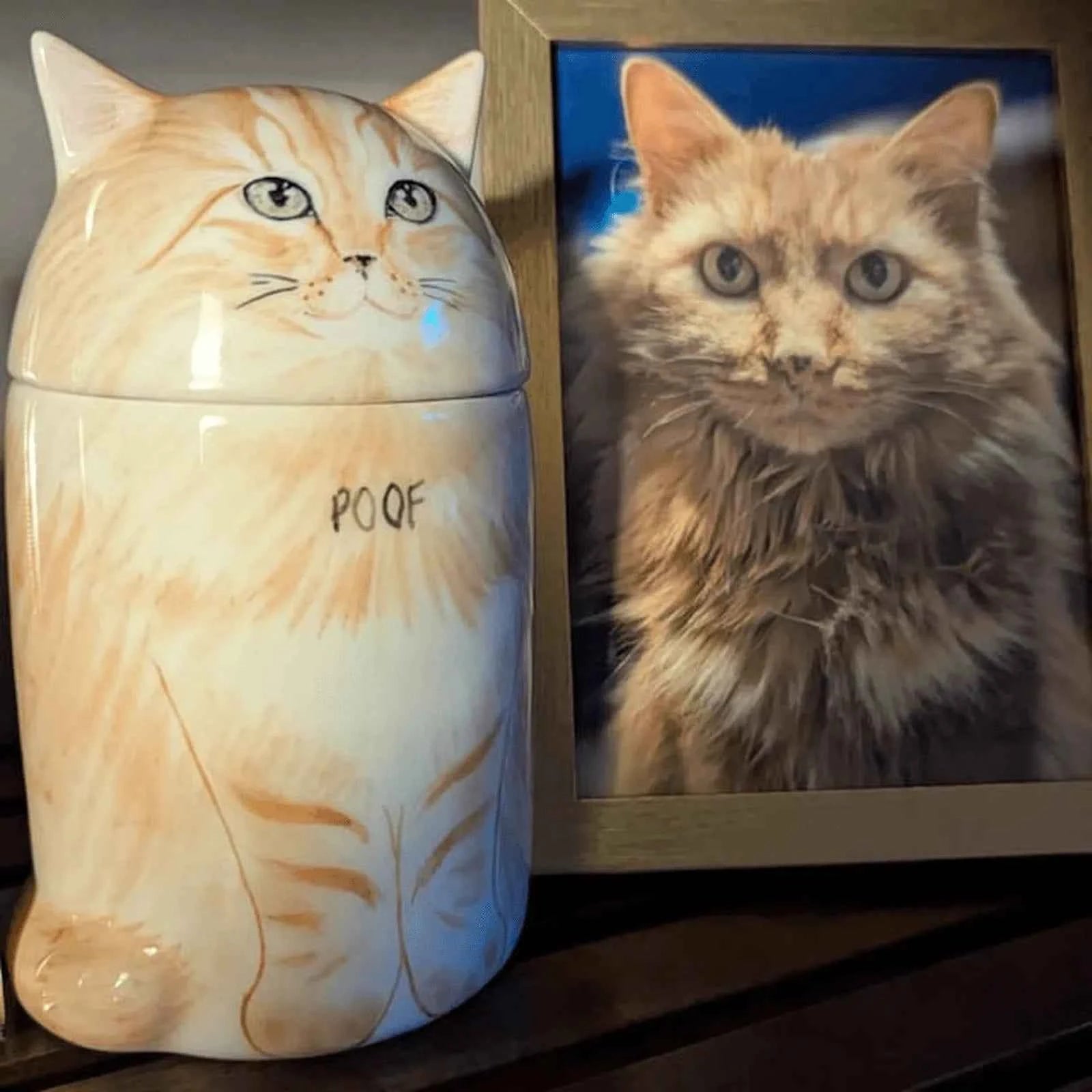 Custom Cat Portrait Urn - Handcrafted Ceramic Pet Memorial Jar