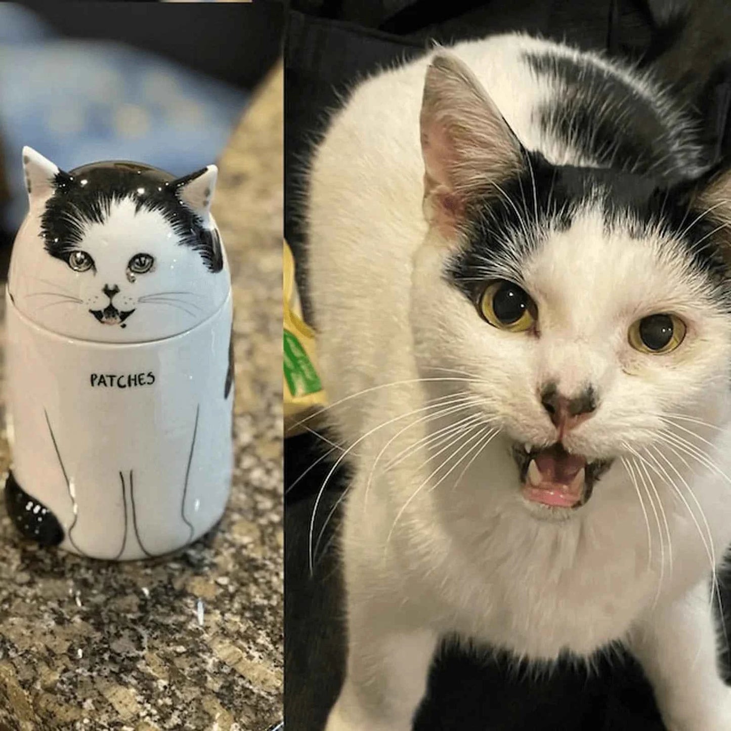 Custom Cat Portrait Urn - Handcrafted Ceramic Pet Memorial Jar